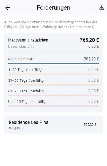 Unbezahlte Rechnung: erinnern und nachverfolgen